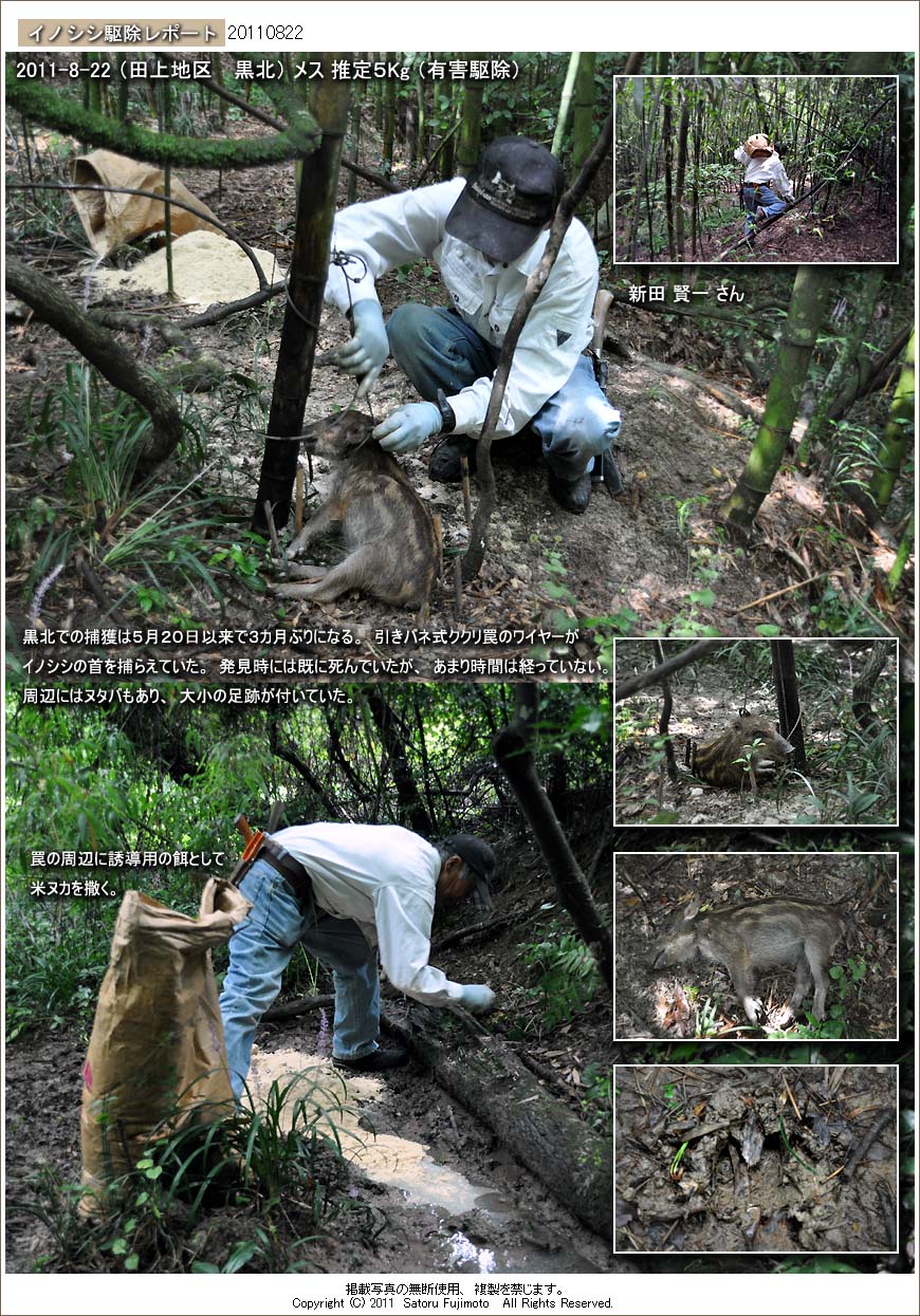 ��ʂ��N���b�N����ƃC�m�V�V�쏜���|�[�g�̃g�b�v�y�[�W�֖߂�܂�