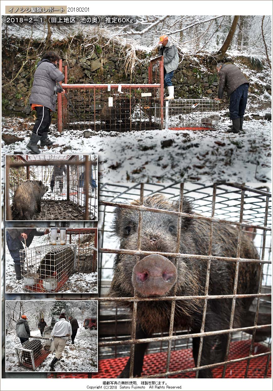 ��ʂ��N���b�N����ƃC�m�V�V�쏜���|�[�g�̃g�b�v�y�[�W�֖߂�܂�