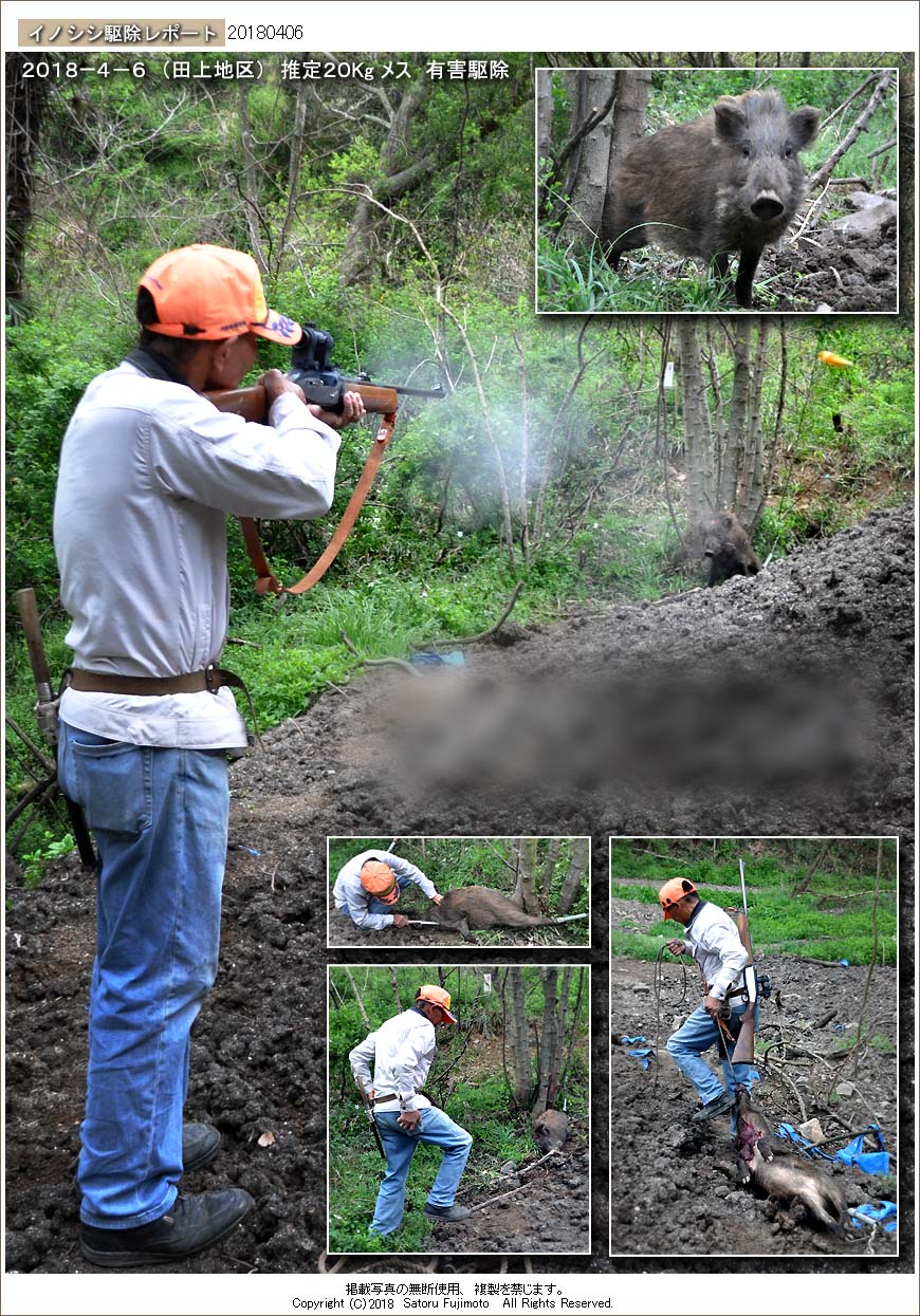 ��ʂ��N���b�N����ƃC�m�V�V�쏜���|�[�g�̃g�b�v�y�[�W�֖߂�܂�