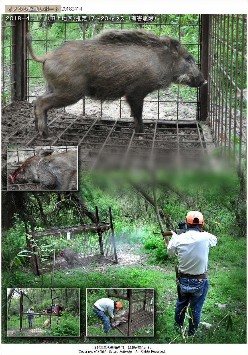 ��ʂ��N���b�N����ƃC�m�V�V�쏜���|�[�g�̃g�b�v�y�[�W�֖߂�܂�