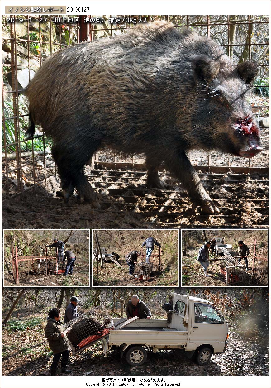 ��ʂ��N���b�N����ƃC�m�V�V�쏜���|�[�g�̃g�b�v�y�[�W�֖߂�܂�