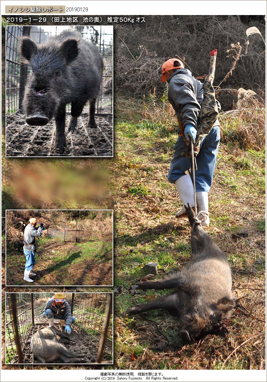 ��ʂ��N���b�N����ƃC�m�V�V�쏜���|�[�g�̃g�b�v�y�[�W�֖߂�܂�