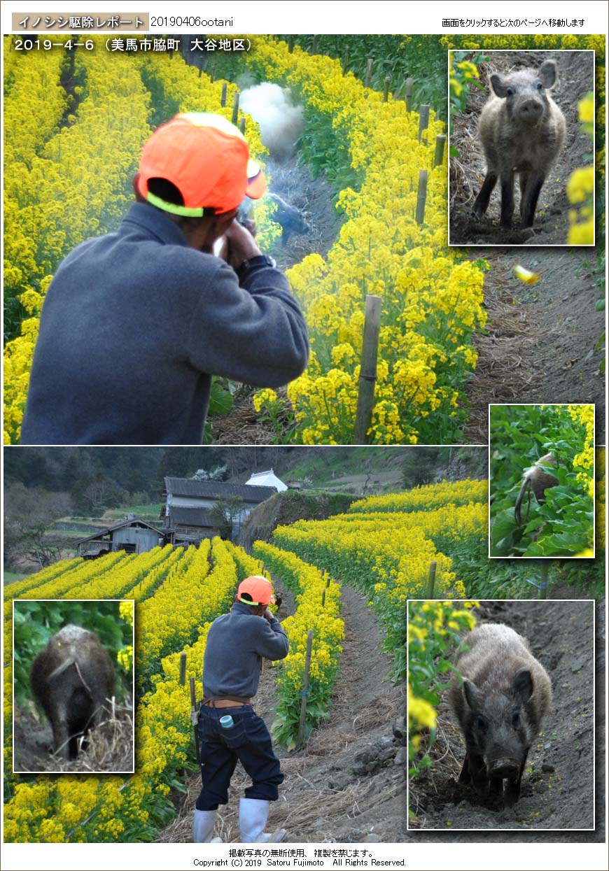 ��ʂ��N���b�N����Ǝ��̃y�[�W�ֈړ����܂�