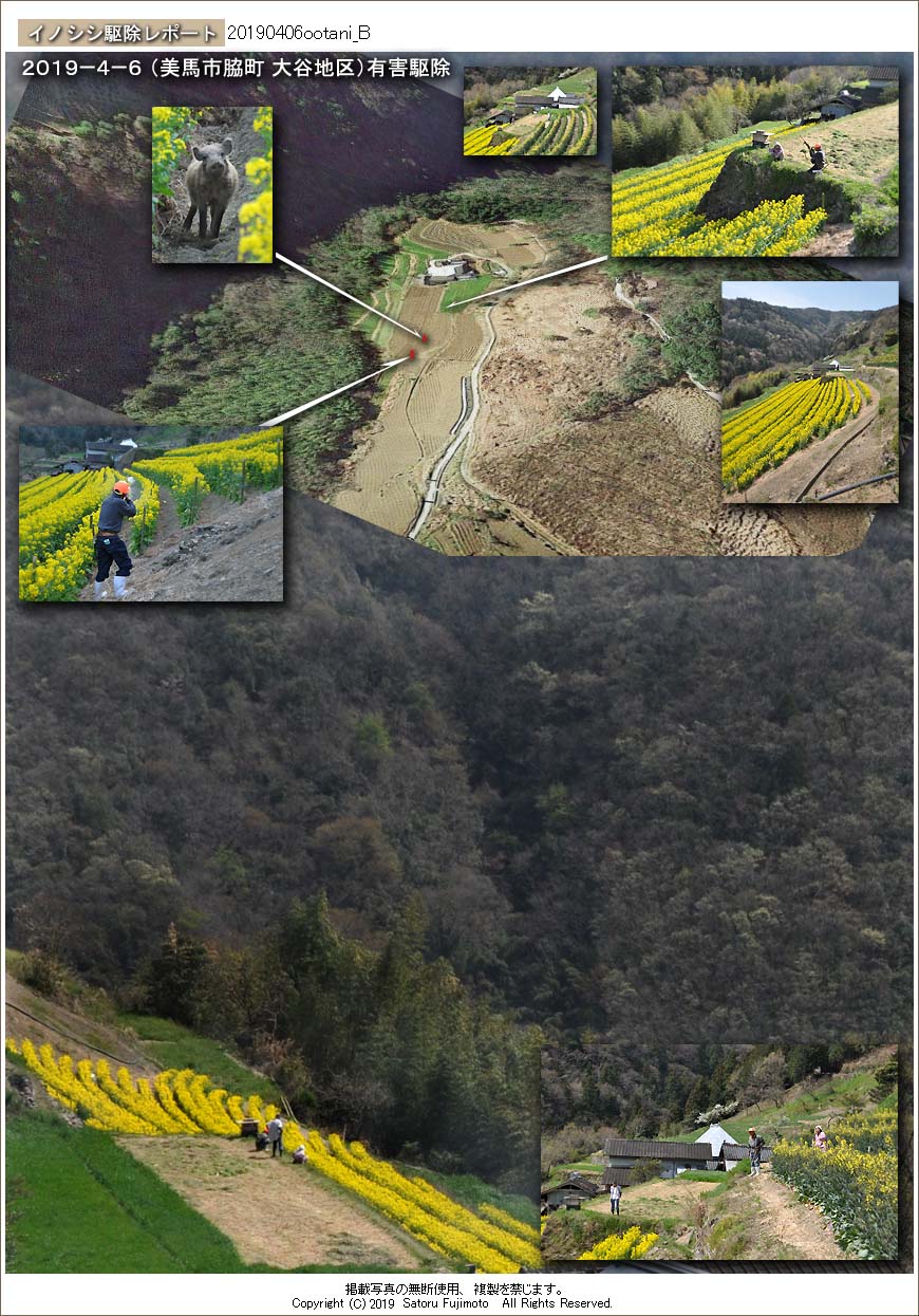 ��ʂ��N���b�N����ƃC�m�V�V�쏜���|�[�g�̃g�b�v�y�[�W�֖߂�܂�