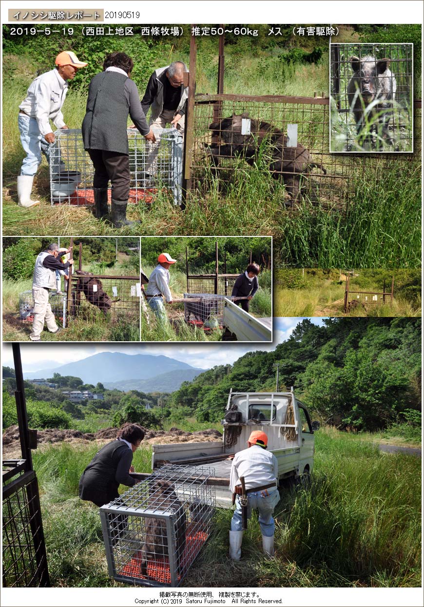 ��ʂ��N���b�N����ƃC�m�V�V�쏜���|�[�g�̃g�b�v�y�[�W�֖߂�܂�