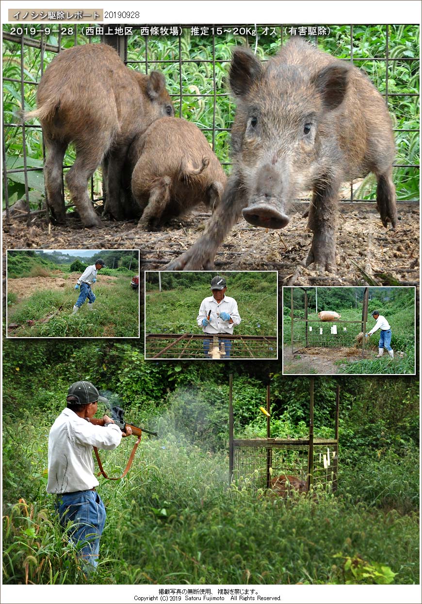 ��ʂ��N���b�N����ƃC�m�V�V�쏜���|�[�g�̃g�b�v�y�[�W�֖߂�܂�