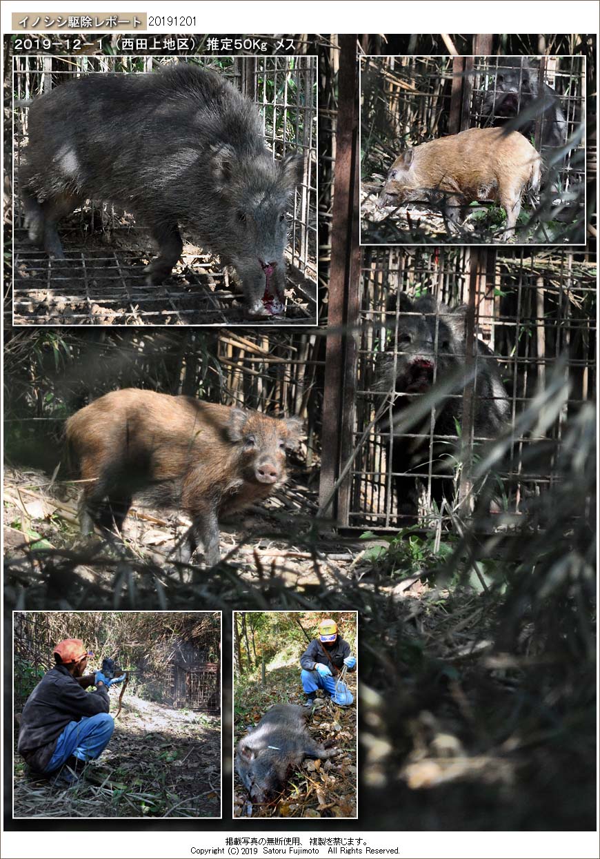 ��ʂ��N���b�N����ƃC�m�V�V�쏜���|�[�g�̃g�b�v�y�[�W�֖߂�܂�