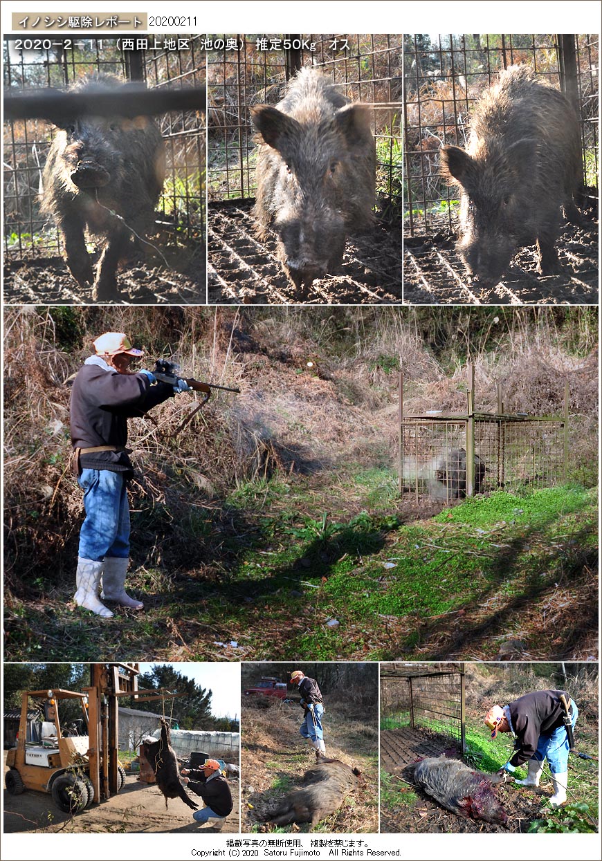 ��ʂ��N���b�N����ƃC�m�V�V�쏜���|�[�g�̃g�b�v�y�[�W�֖߂�܂�