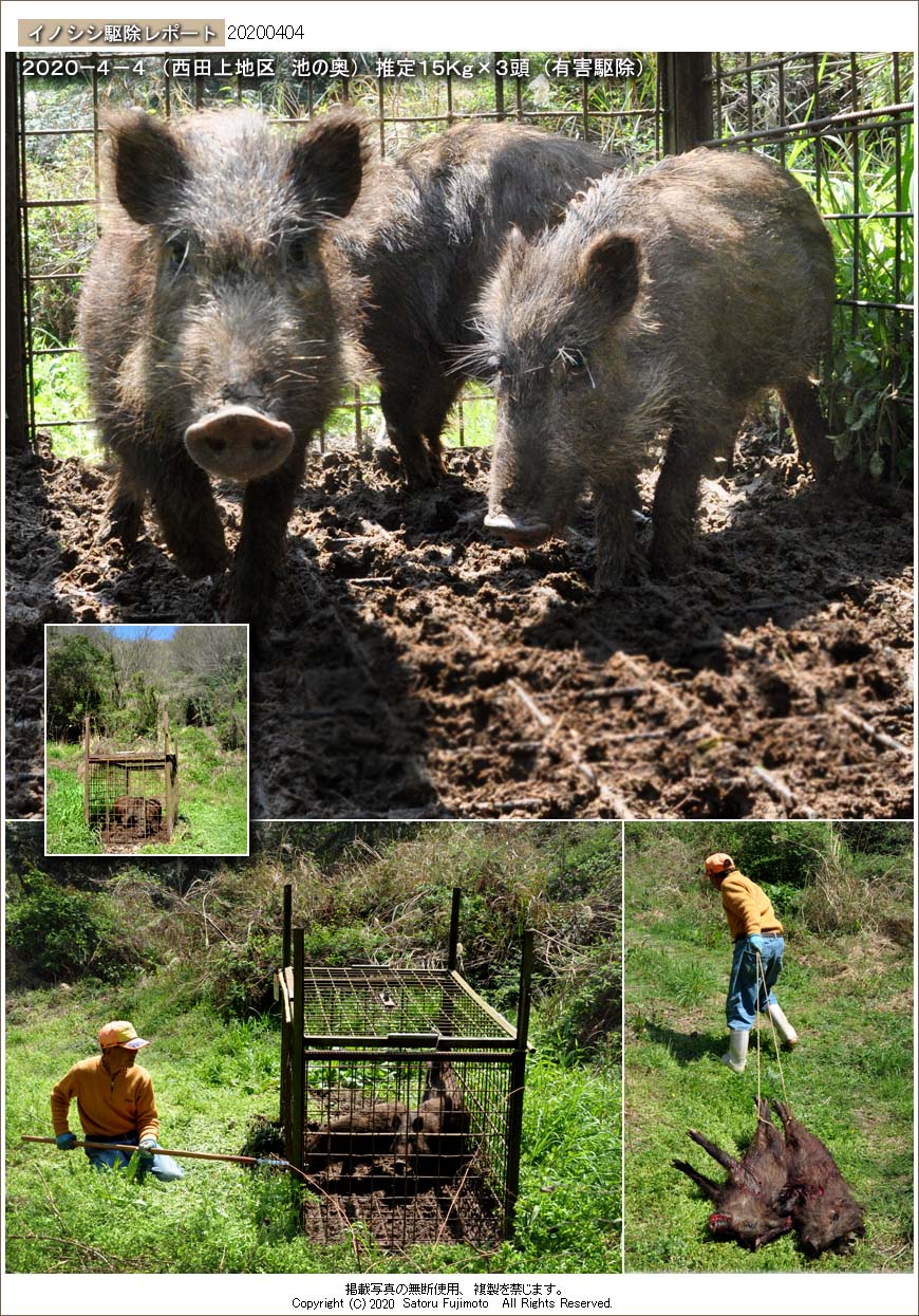 ��ʂ��N���b�N����ƃC�m�V�V�쏜���|�[�g�̃g�b�v�y�[�W�֖߂�܂�