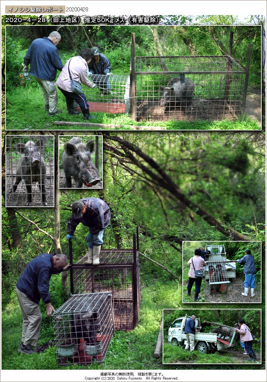 ��ʂ��N���b�N����ƃC�m�V�V�쏜���|�[�g�̃g�b�v�y�[�W�֖߂�܂�