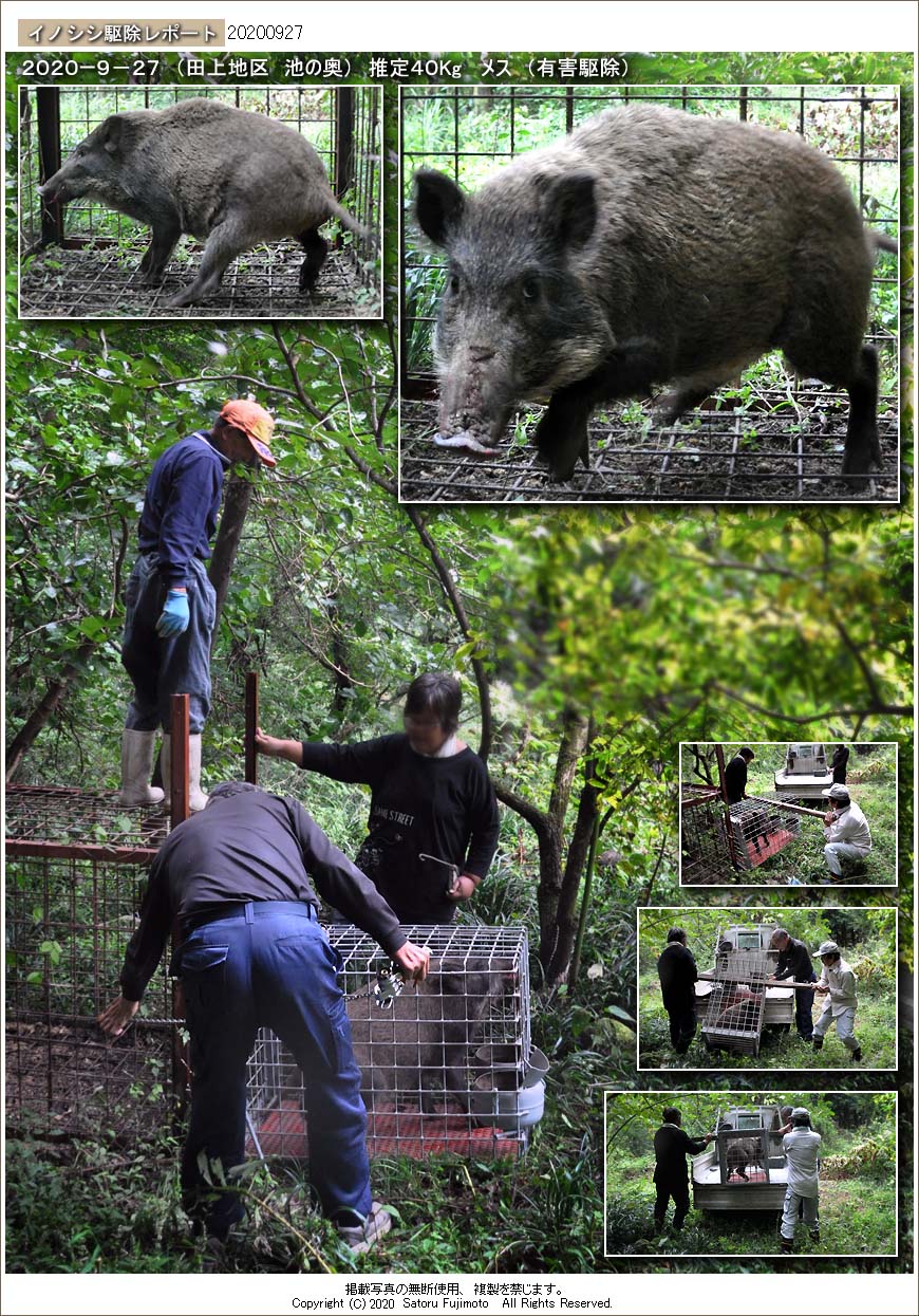 ��ʂ��N���b�N����ƃC�m�V�V�쏜���|�[�g�̃g�b�v�y�[�W�֖߂�܂�