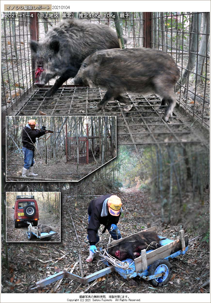 ��ʂ��N���b�N����ƃC�m�V�V�쏜���|�[�g�̃g�b�v�y�[�W�֖߂�܂�