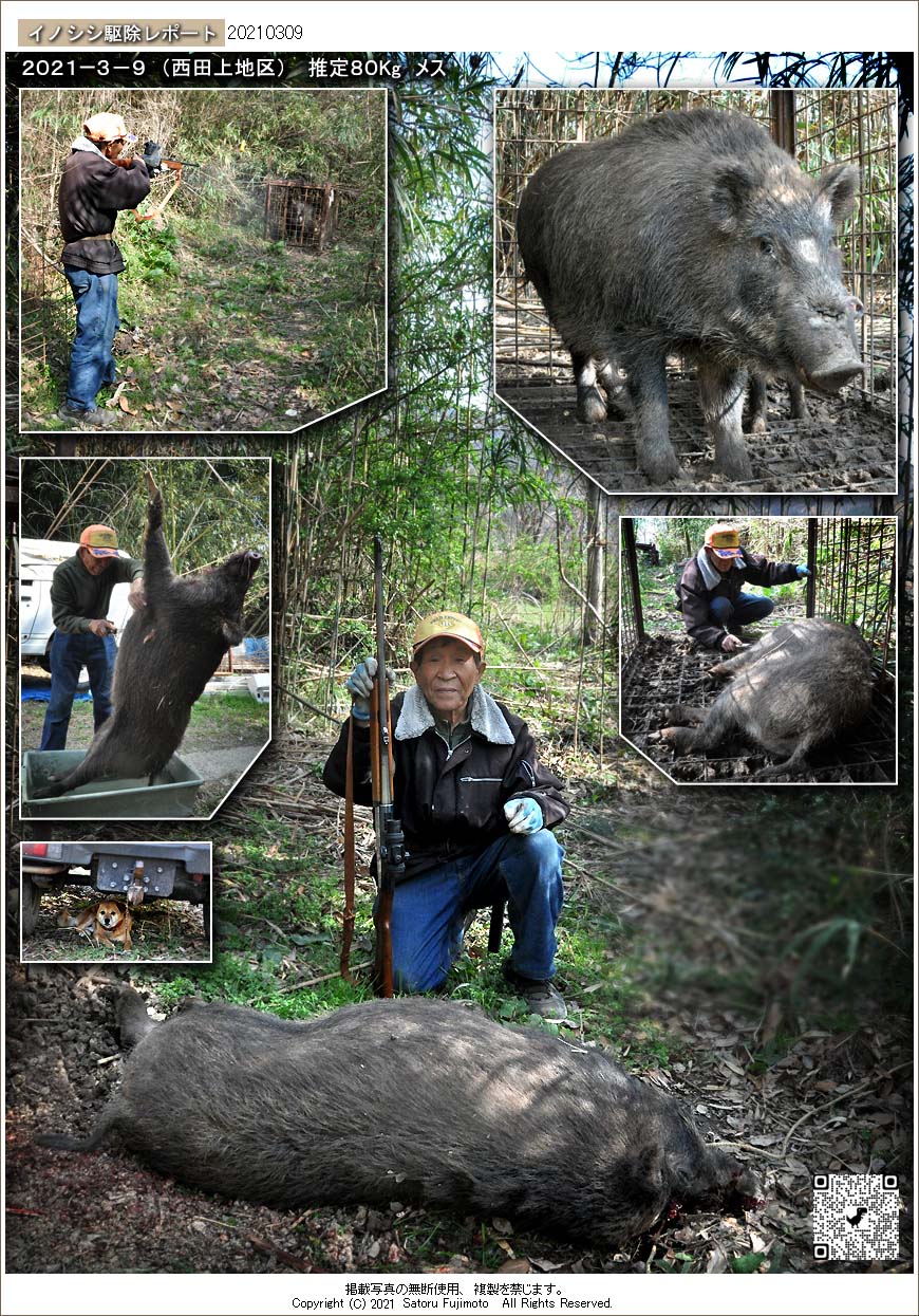 ��ʂ��N���b�N����ƃC�m�V�V�쏜���|�[�g�̃g�b�v�y�[�W�֖߂�܂�