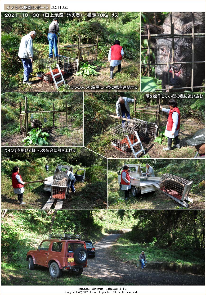 ��ʂ��N���b�N����ƃC�m�V�V�쏜���|�[�g�̃g�b�v�y�[�W�֖߂�܂�