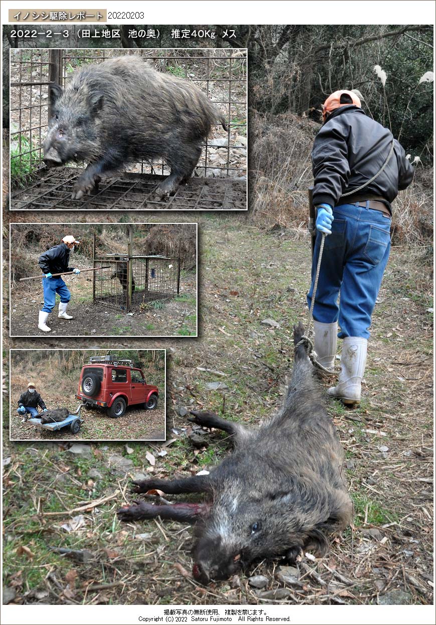 ��ʂ��N���b�N����ƃC�m�V�V�쏜���|�[�g�̃g�b�v�y�[�W�֖߂�܂�