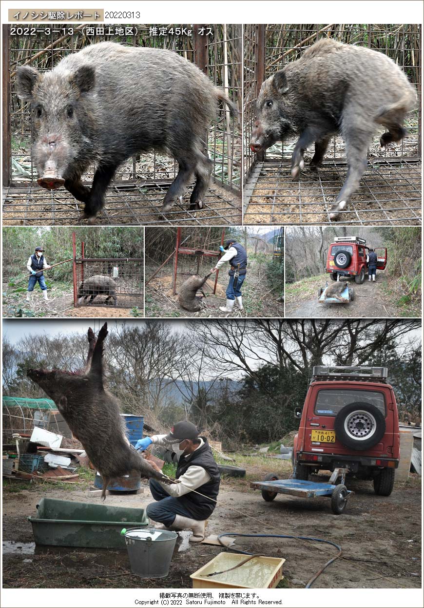 ��ʂ��N���b�N����ƃC�m�V�V�쏜���|�[�g�̃g�b�v�y�[�W�֖߂�܂�