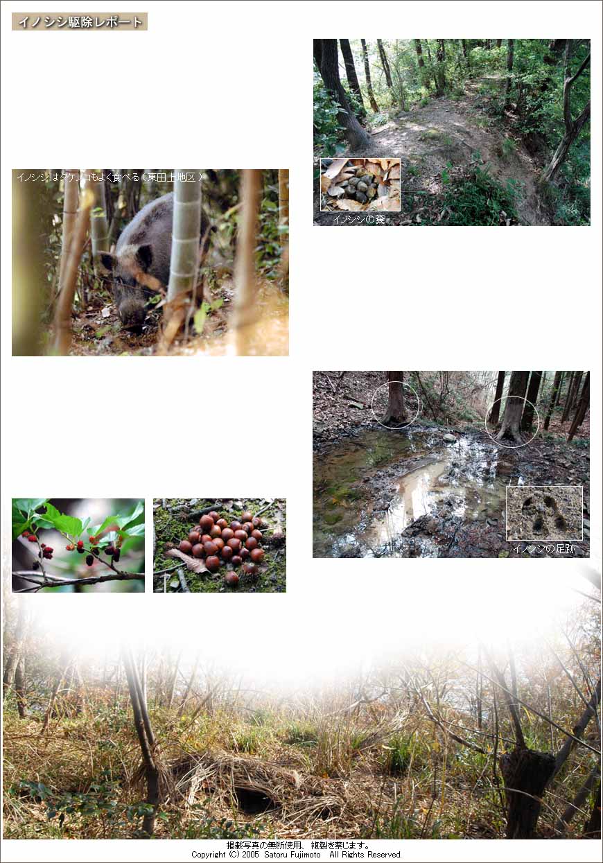 ��ʂ��N���b�N����ƃg�b�v�y�[�W�֖߂�܂�