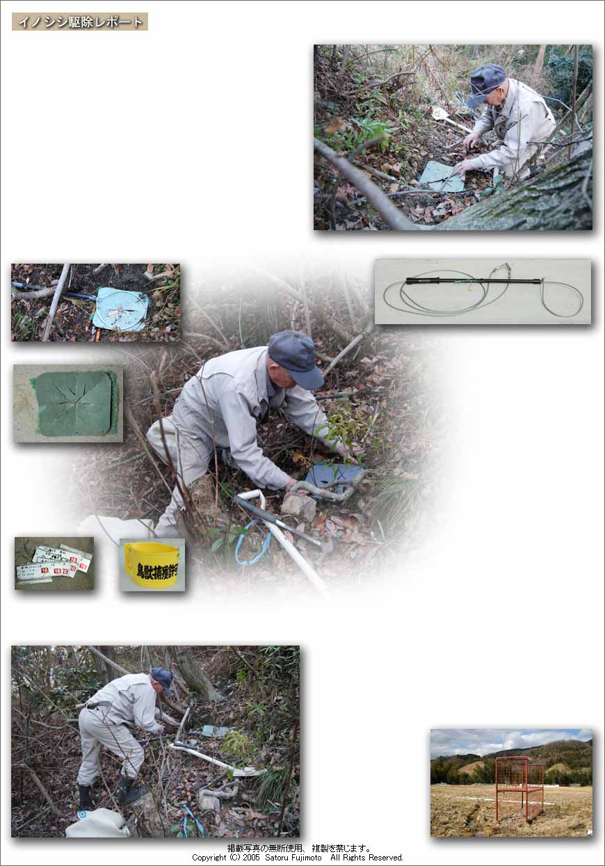 ��ʂ��N���b�N����ƃg�b�v�y�[�W�֖߂�܂�