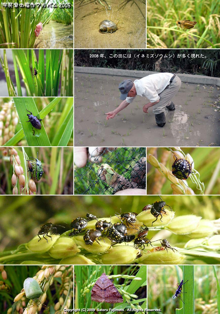 ��ʂ��N���b�N����ƈ��A���o��2008�̃C���f�b�N�X�y�[�W�֖߂�܂�