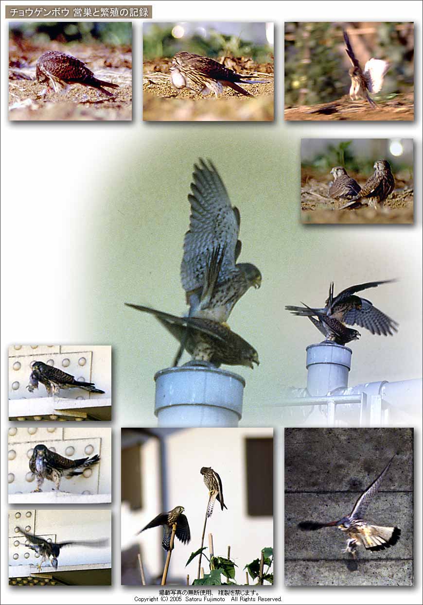 ��ʂ��N���b�N����ƃg�b�v�y�[�W�֖߂�܂�