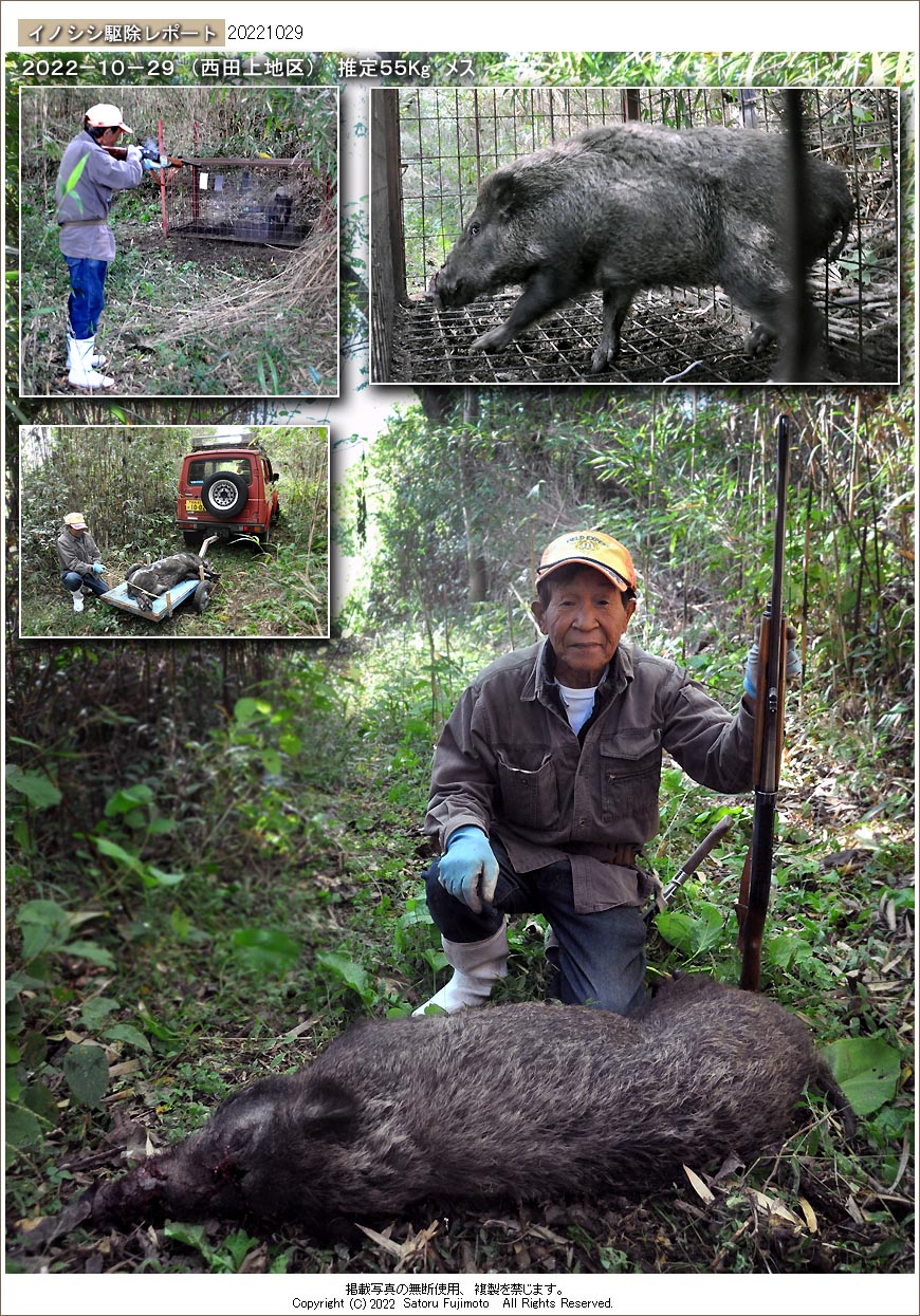 ��ʂ��N���b�N����ƃC�m�V�V�쏜���|�[�g�̃g�b�v�y�[�W�֖߂�܂�