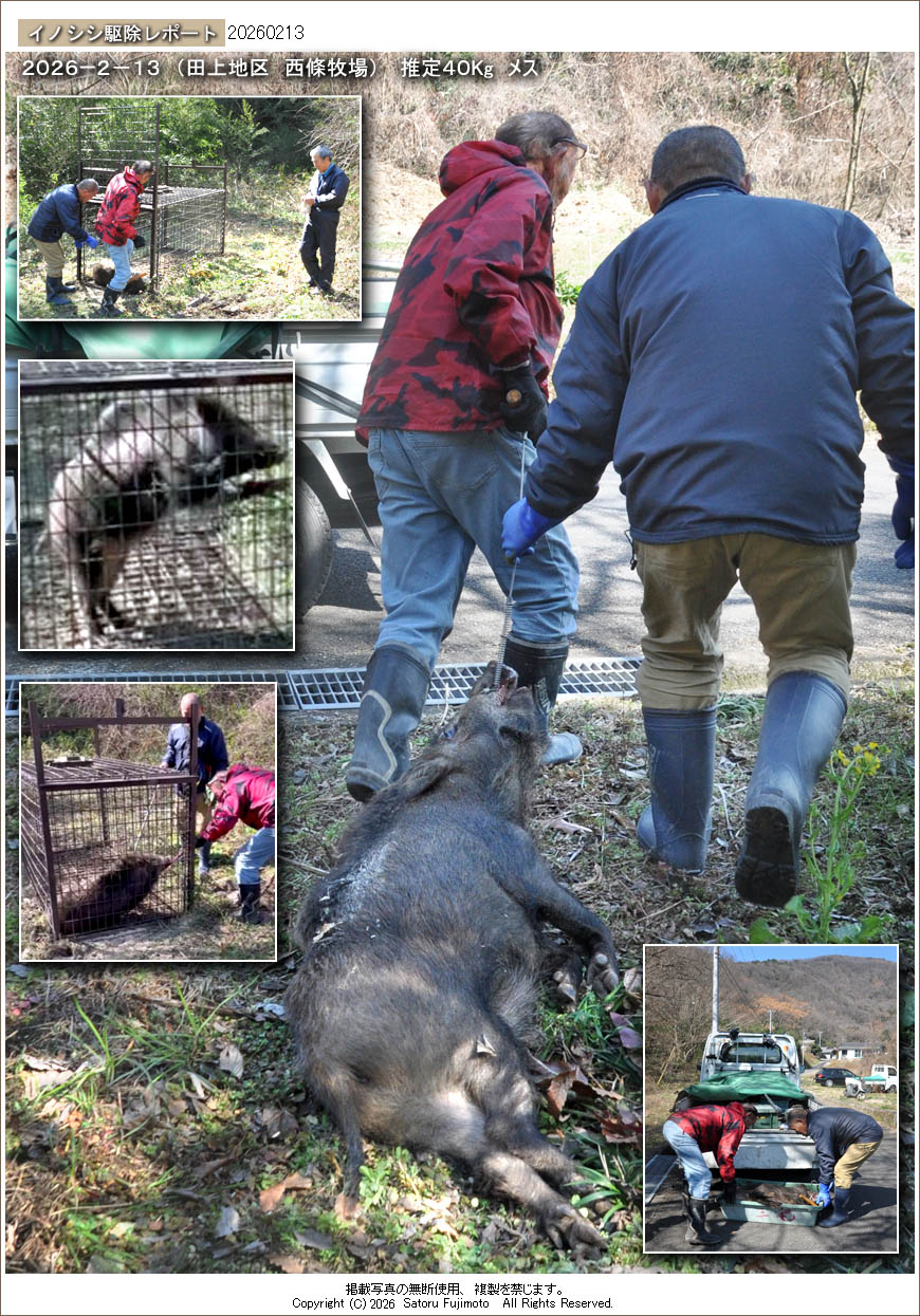 ��ʂ��N���b�N����ƃC�m�V�V�쏜���|�[�g�̃g�b�v�y�[�W�֖߂�܂�